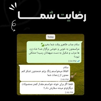 رضایت مشتری از حلوا باشی